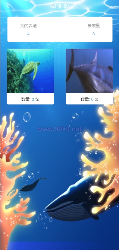 图片[5]-USDT理财系统/USDT投资源码/虚拟币静态收益/区块链源码 - 海外源码-出海源码-精品优选源码资源平台-海外源码-出海源码-精品优选源码资源平台