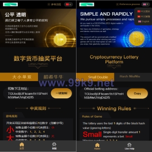 哈希竞彩/区块链哈希值竞猜/带后台 - 海外源码-出海源码-精品优选源码资源平台-海外源码-出海源码-精品优选源码资源平台