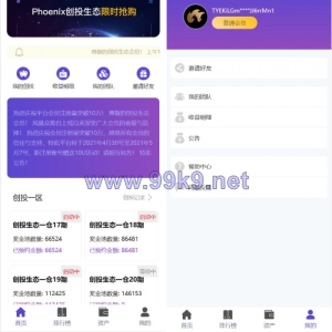 usdt众筹系统/区块链投资分红系统/usdt投资理财系统 - 海外源码-出海源码-精品优选源码资源平台-海外源码-出海源码-精品优选源码资源平台