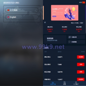 新版双语言汇汇通系统/代理后台/外汇虚拟币微盘/微交易系统 - 海外源码-出海源码-精品优选源码资源平台-海外源码-出海源码-精品优选源码资源平台