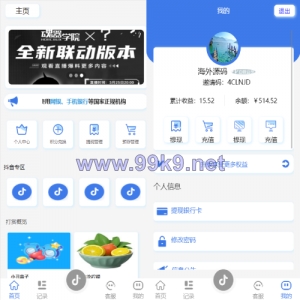 新UI抖音打赏抢单刷单系统/抖音任务系统/手动自动抢单刷单 - 海外源码-出海源码-精品优选源码资源平台-海外源码-出海源码-精品优选源码资源平台