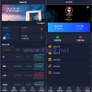运营版微盘期货交易系统/微交易源码/代理后台/用户风控 - 海外源码-出海源码-精品优选源码资源平台-海外源码-出海源码-精品优选源码资源平台