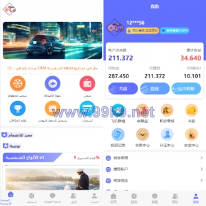 阿拉伯投资理财系统/海外投资众筹系统/前端vue - 海外源码-出海源码-精品优选源码资源平台-海外源码-出海源码-精品优选源码资源平台