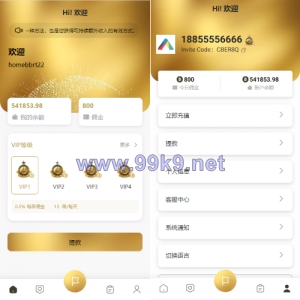 新版多语言抢单刷单系统/连单刷单/海外抢单刷单源码 - 海外源码-出海源码-精品优选源码资源平台-海外源码-出海源码-精品优选源码资源平台