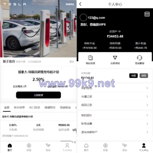 新版海外特斯拉投资系统/多语言投资理财/前端vue - 海外源码-出海源码-精品优选源码资源平台-海外源码-出海源码-精品优选源码资源平台