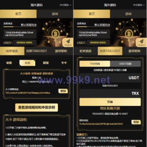 黑色UI哈希竞猜源码/区块链区块哈希竞彩/前端VUE - 海外源码-出海源码-精品优选源码资源平台-海外源码-出海源码-精品优选源码资源平台