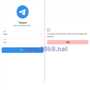 飞机telegram盗号系统/telegram网页盗号源码/飞机电报盗号源码 - 海外源码-出海源码-精品优选源码资源平台-海外源码-出海源码-精品优选源码资源平台
