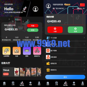 多语言TIKTOK刷单/海外TIKTOK抢单刷单/叠加组/打针 - 海外源码-出海源码-精品优选源码资源平台-海外源码-出海源码-精品优选源码资源平台